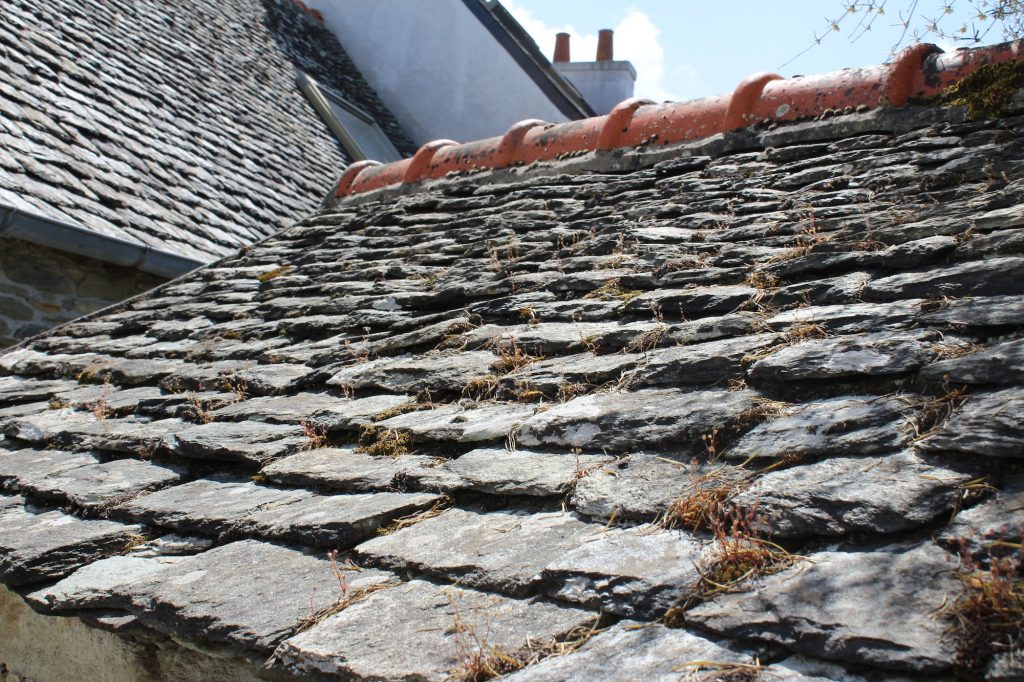 Why You Shouldn’t Delay Roof Repairs